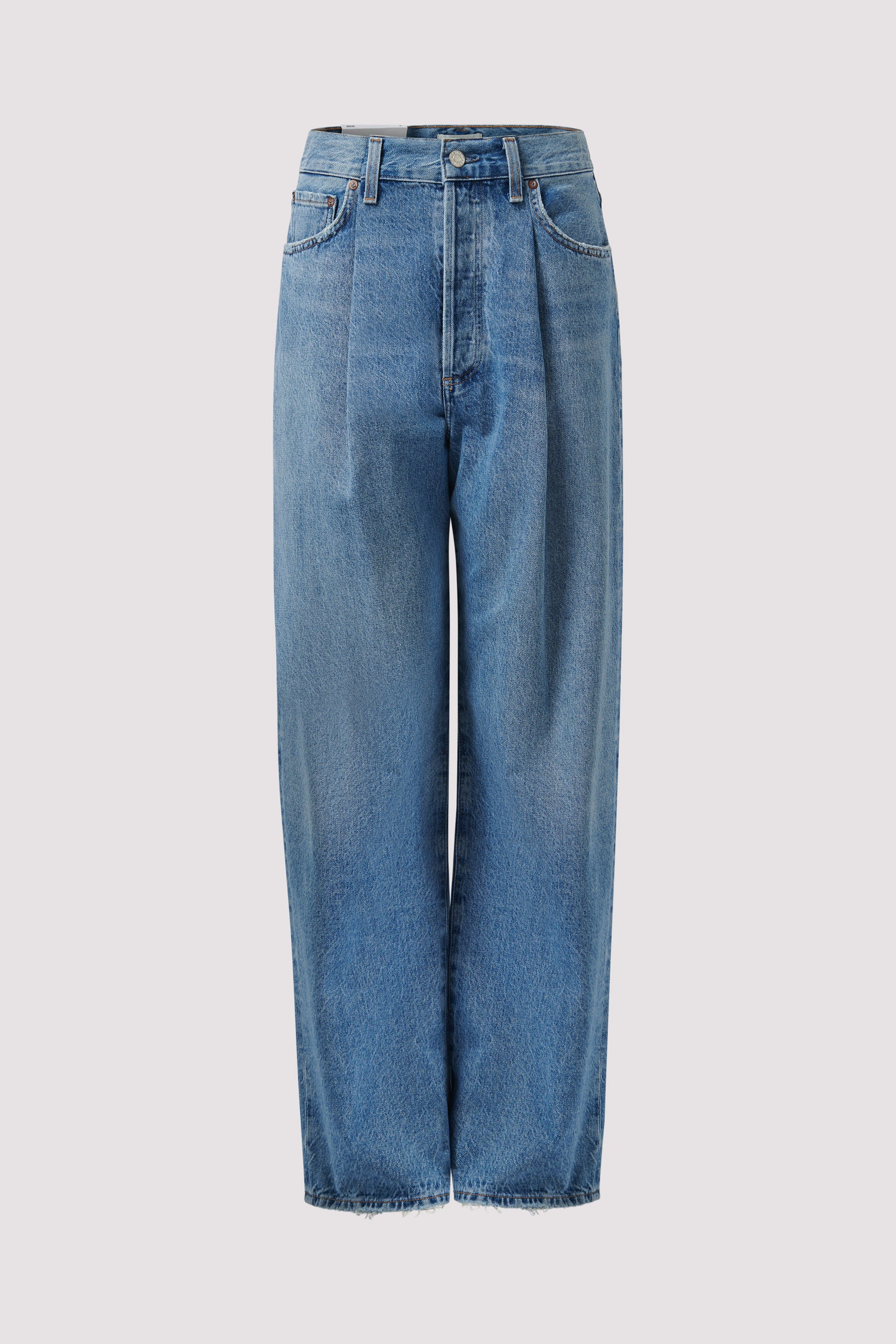AGOLDE Blue Franka Pleat Baggy Jeans