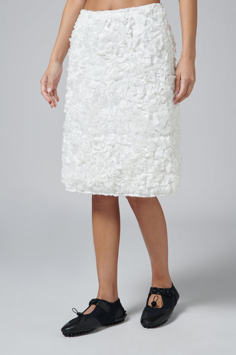 White A-Line Skirt