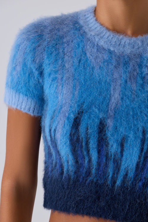 Feng Chen Wang Blue Knit Cropped Graident