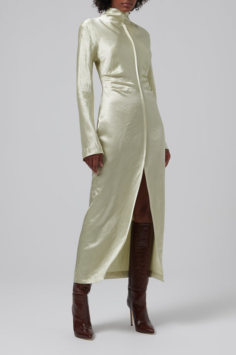 Cosett Turtleneck Maxi Dress