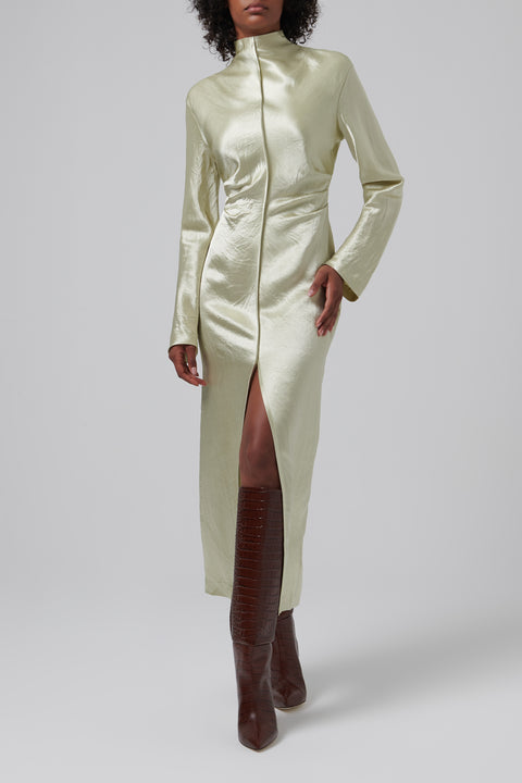 Cosett Turtleneck Maxi Dress