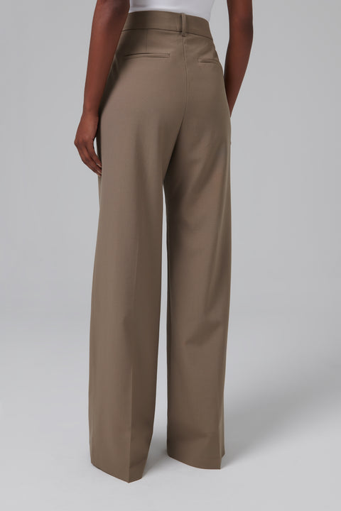 Brown Single Pleated Pants